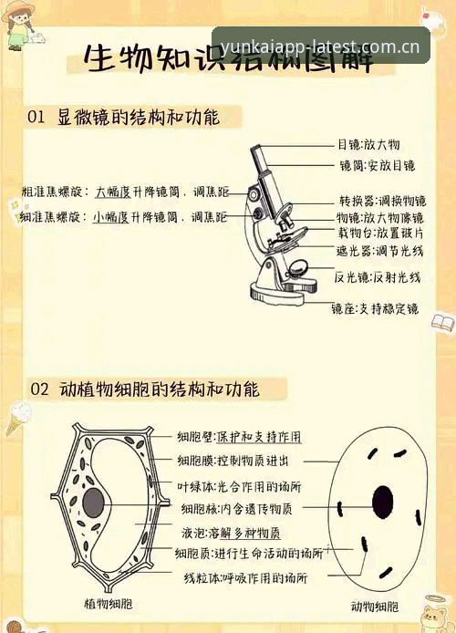 上海vs北京G4战术变数详解：替补深度与轮换策略的攻防观察指南